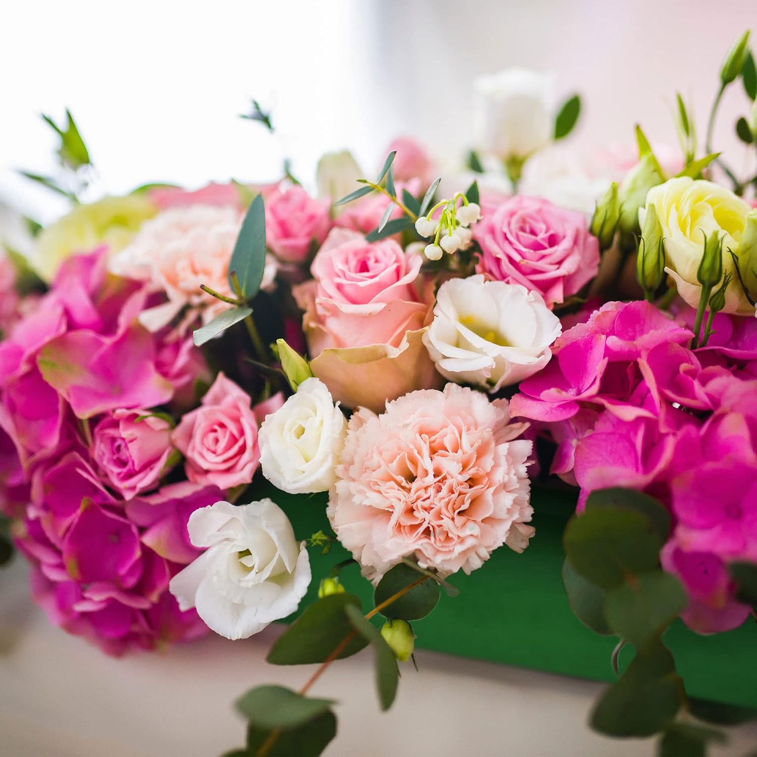 Max Shape 6 Pack Floral Foam Round and 4 Pack Floral Blocks