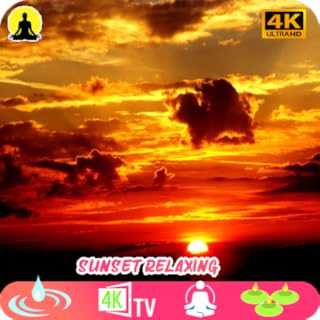 Sunset Sounds Calm & Relax Meditation Sleep Rain Sounds to Sleep, Study, Relax, Reduce Stress No Ads
