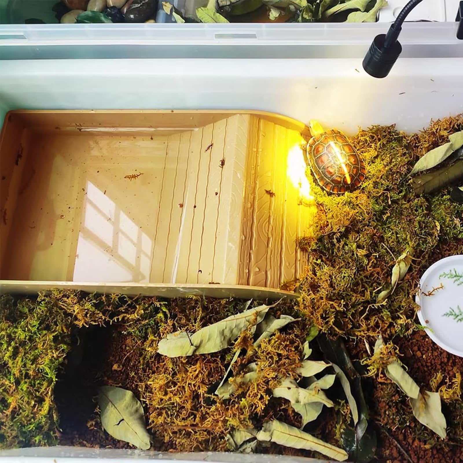 QINGYIWL Cuenco de Agua para Tortugas, Bebedero para Tortugas de Tierra con Rampa y Plataforma para Tomar el Sol, Piscina de Baño para Reptiles, Lagartos, Anfibios — view 6
