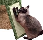 Yaheetech Cactus Arbre de chat, 42in Tour de chat pour les chats intérieurs, maison de chat mignon avec grand condo, postes de scratching, rampe, peluche rembourrée Perch & Balle