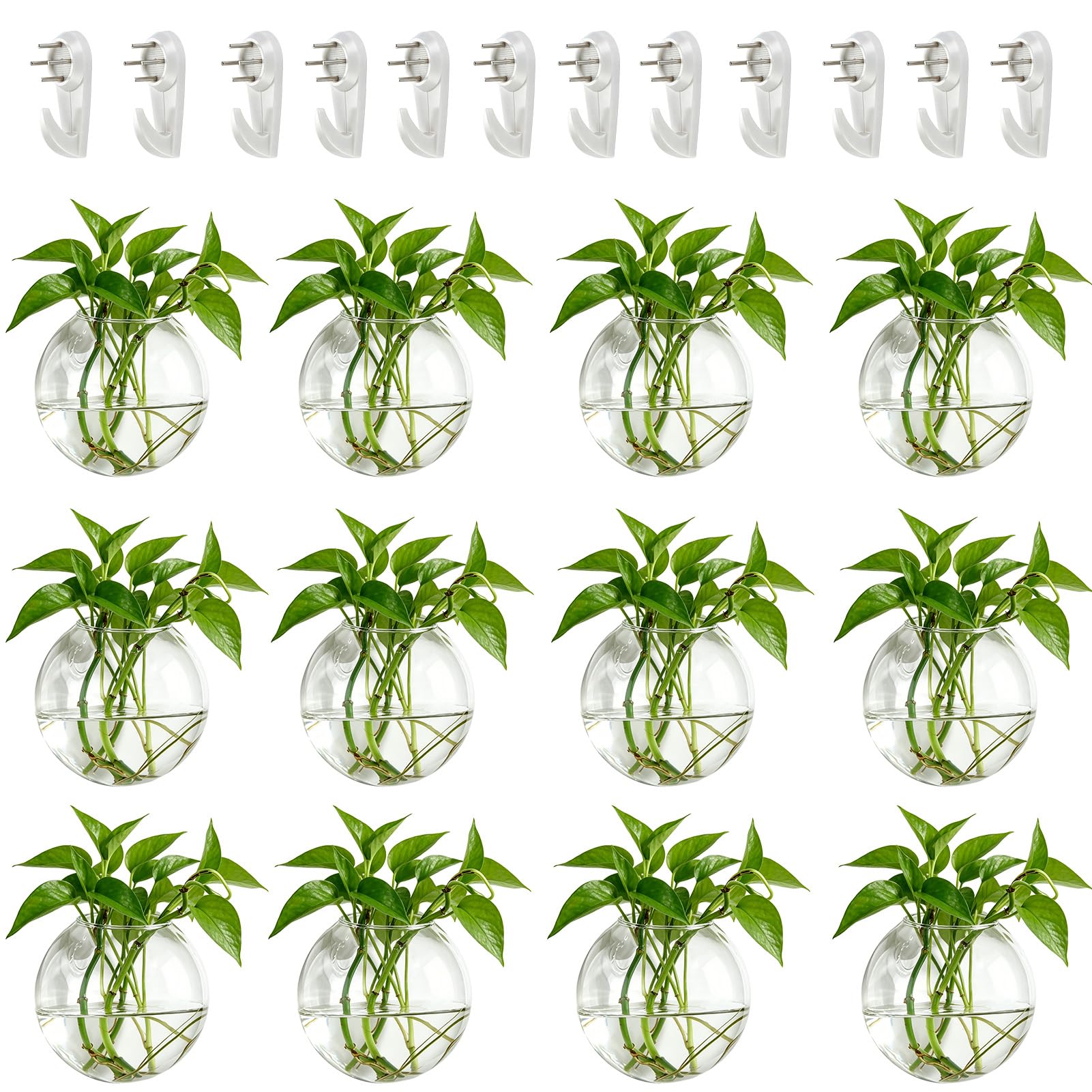 NUPTIO Wandvase für Pflanzen Innen Glas: 10 cm Blumen Wandbehang Glasvase für Wohnzimmer Wand Deko - Wasser Hängetöpfe Vasen Luft Blumenvase Terrarien für Raum Dekoration 12er-Set