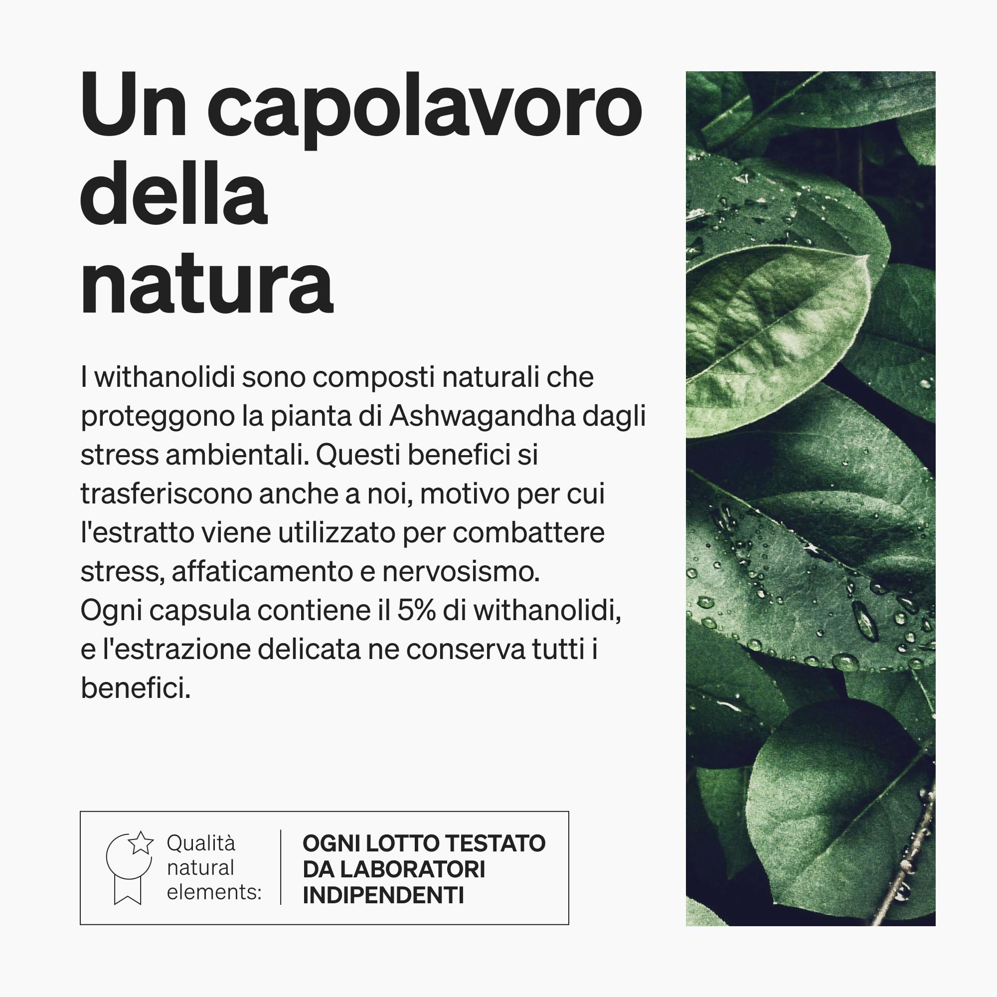Ashwagandha KSM-66, 120 Capsule, completo con Magnesio Bisglicinato, Vitamine B6, B12 e Vitamina C, 600mg Ashwagandha per dose giornaliera, vegano, prodotto e testato in Germania