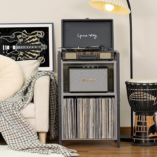 Miniatura 5 de LELELINKY Soporte para tocadiscos, gabinete industrial de almacenamiento de discos de vinilo de 2 niveles con marco de acero, soporte para