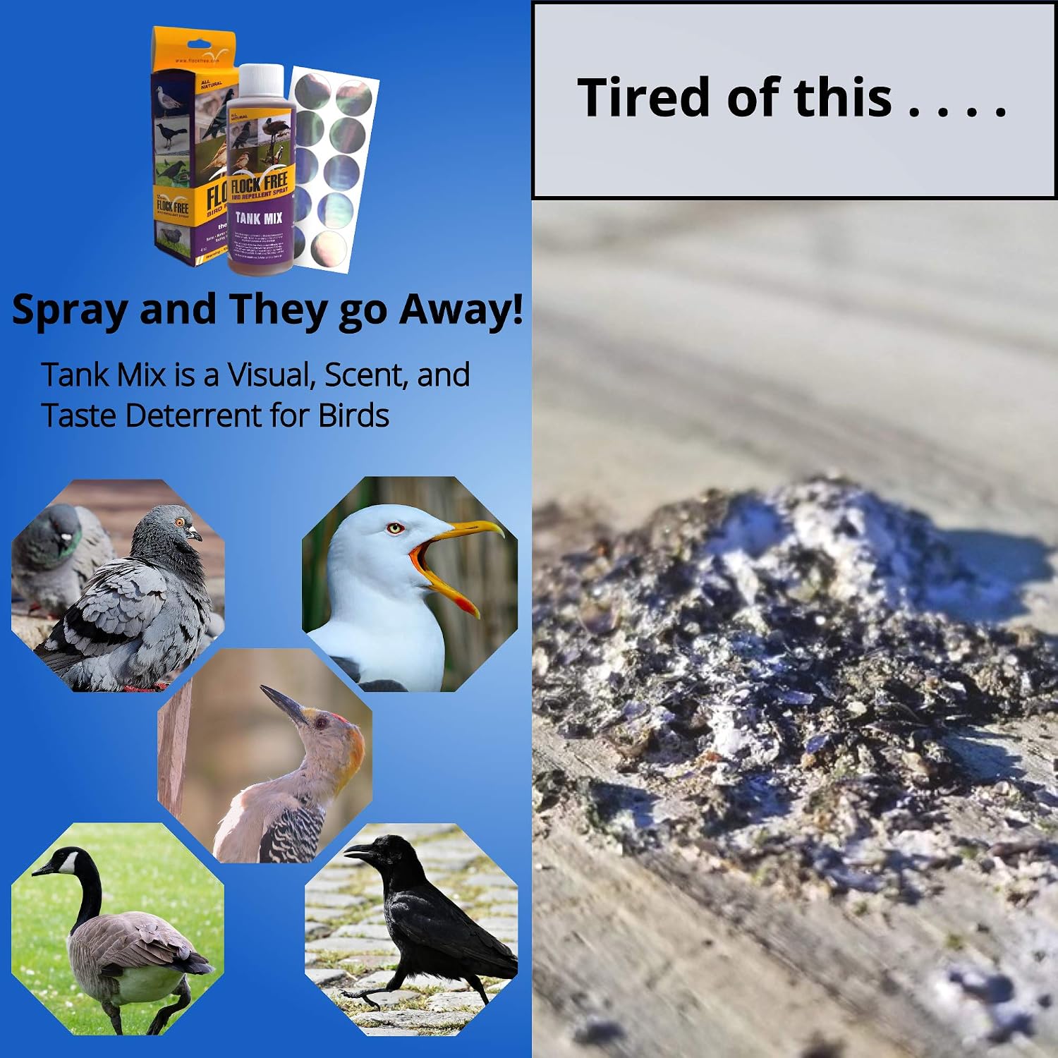 Flock Free Bird Repellent Spray, Residential Bird Problem Solution Bird Control, 4 oz Concentrate (1)