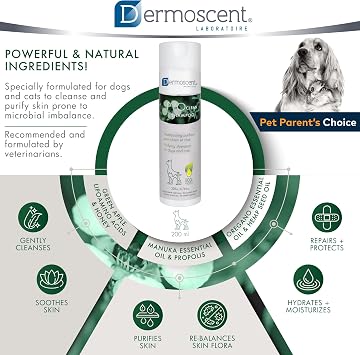 Dermoscent PYOclean Shampoo for Dogs & Cats - Anti-Itch Sensitive Formula to Control Skin Infections & Allergy Symptoms - 200 ml