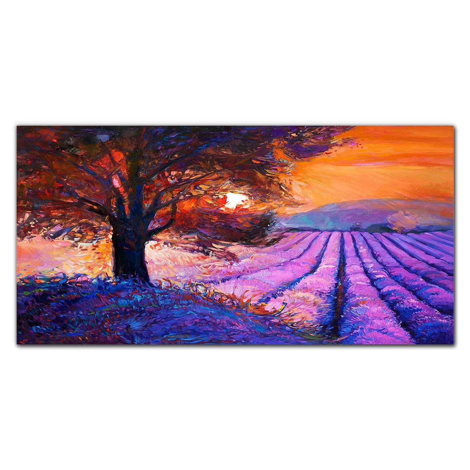 Crédence de cuisine en verre trempé 100x50 cm Coloray - Protection murale Fleurs de Soleil