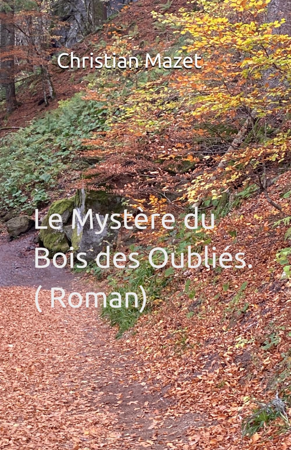 Le Mystère du Bois des Oubliés ( Roman)