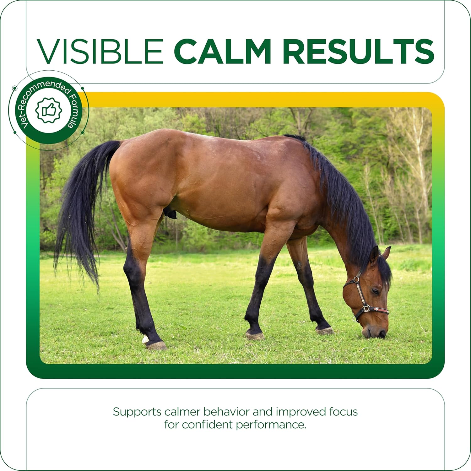 TRM Good as Gold + MAG Calming Horse Supplement for Relaxation and Focus | Tryptophan + Magnesium - 3.3 lb (1.5kg) - 3.3 lb