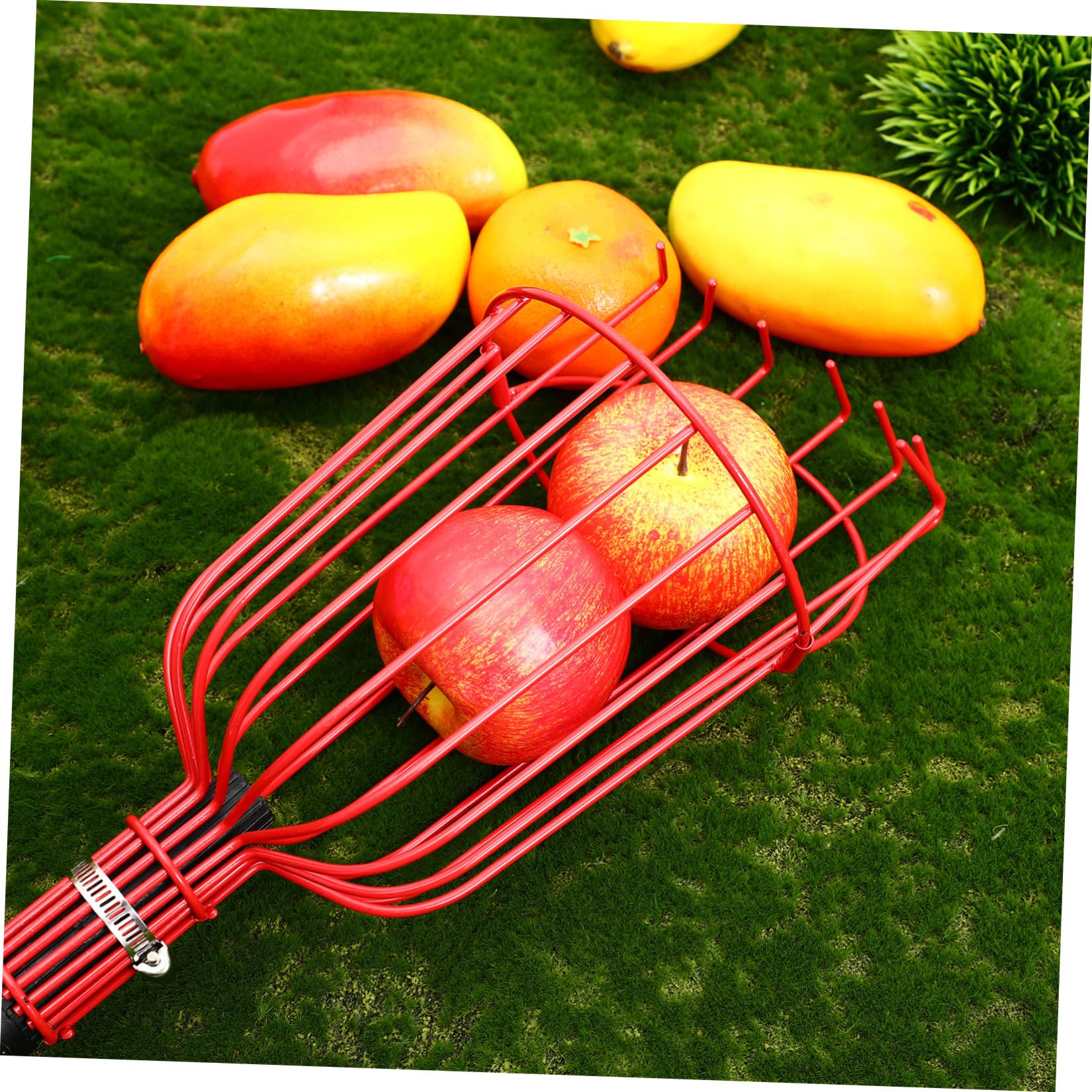 Raccoglifrutta Telescopico in Acciaio Inox 1,2 M Cestello Imbottito e Testa ad Artiglio, Strumento Leggero per Raccolta di Arance, Limoni e Pere da Alberi Alti, Utensile Versatile