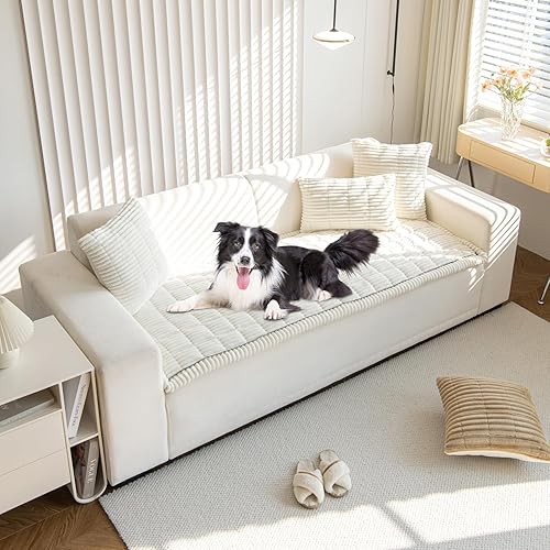STACYPIK Funda de sofá para perro color blanco crema, lavable, antideslizante, protector para sofá de 2 cojines, funda de sofá modular de pana