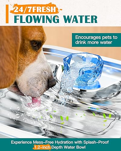 Miniatura 6 de PETNF - Fuente de agua para perros grandes de 3 galones, fuente de agua para mascotas de acero inoxidable de 11.4 litros en el interior, dispensador