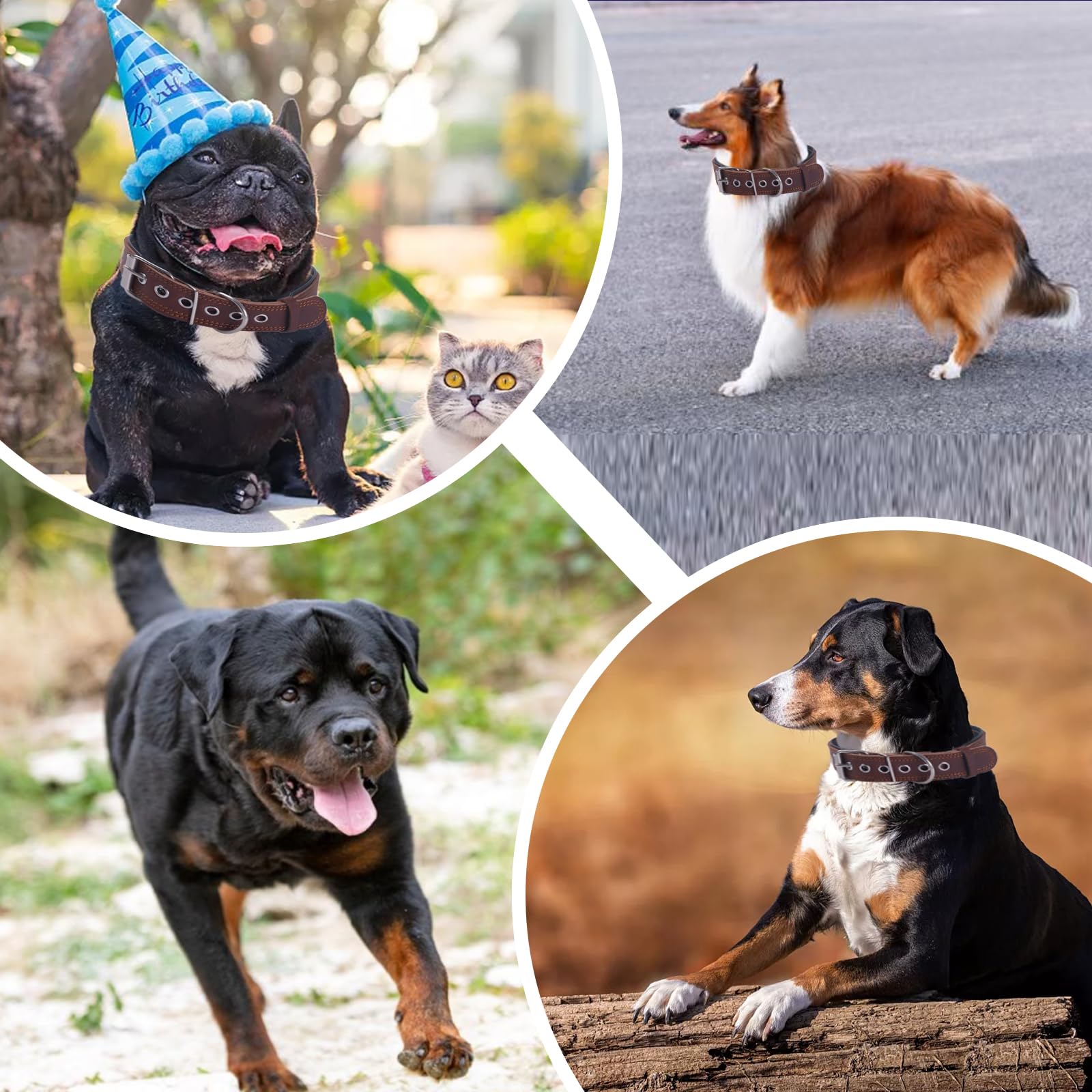 Collar para Perro con Tachuelas De Cuero,Acolchado Extra Grueso y 5 cm De Ancho,Cuero Genuino Suave y Duradero para Razas de Perros Medianas, Grandes y Extragrandes(Marrón,XXL)