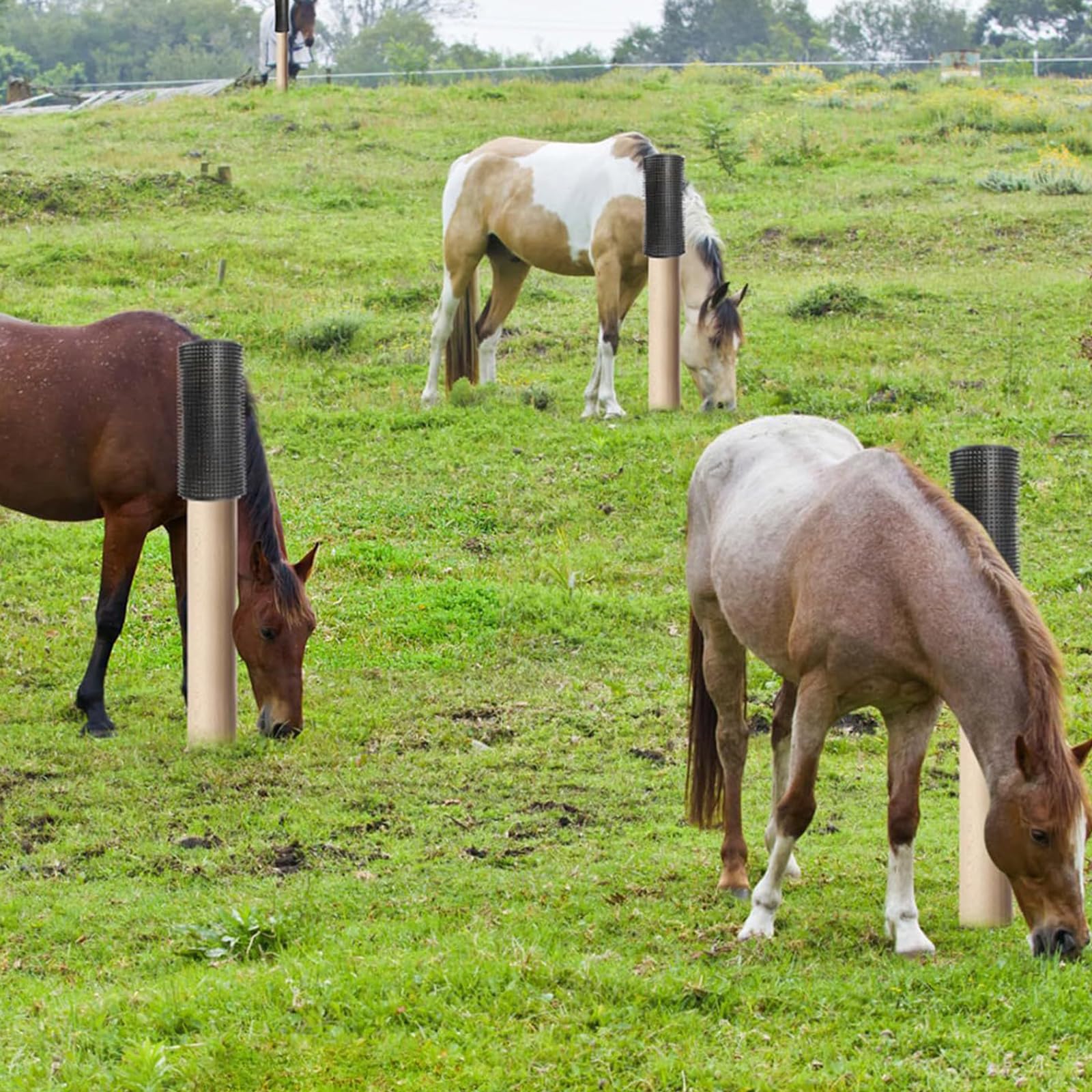Farm Animal - Cepillo multifunción para cría, antipicazón, rascador para vacas, caballos, alfombra de masaje, limpieza y desenredado