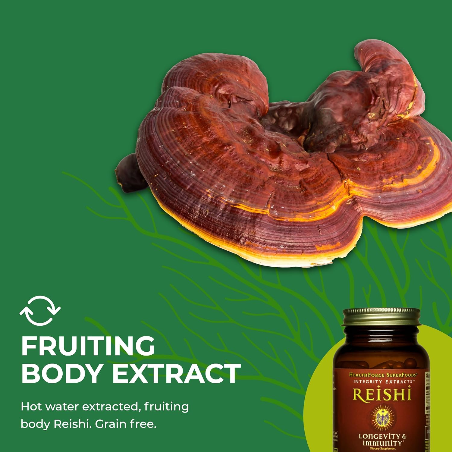 HEALTHFORCE SUPERFOODS Integrity Extracts Reishi – Capsules - 90 Vegan Capsules