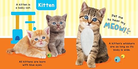 Little Hippo Books Baby Animals - A Noisy Touch and Feel Sensory Book Featuring Farm Sounds (Little Listeners Library: Baby & Toddler Premium Sound Books)