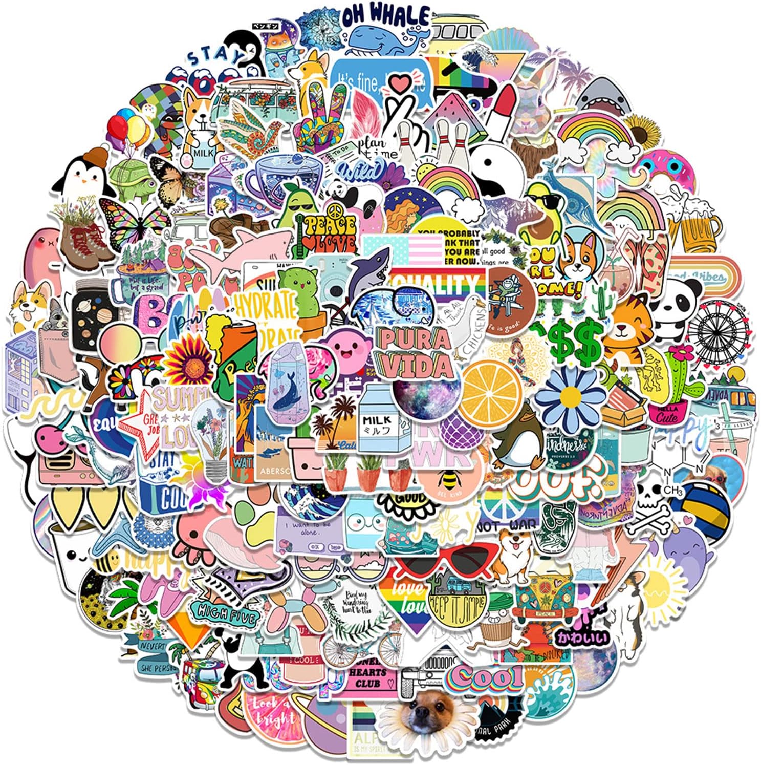 Seatefy 200 PCS VSCO Vinyl Stickers