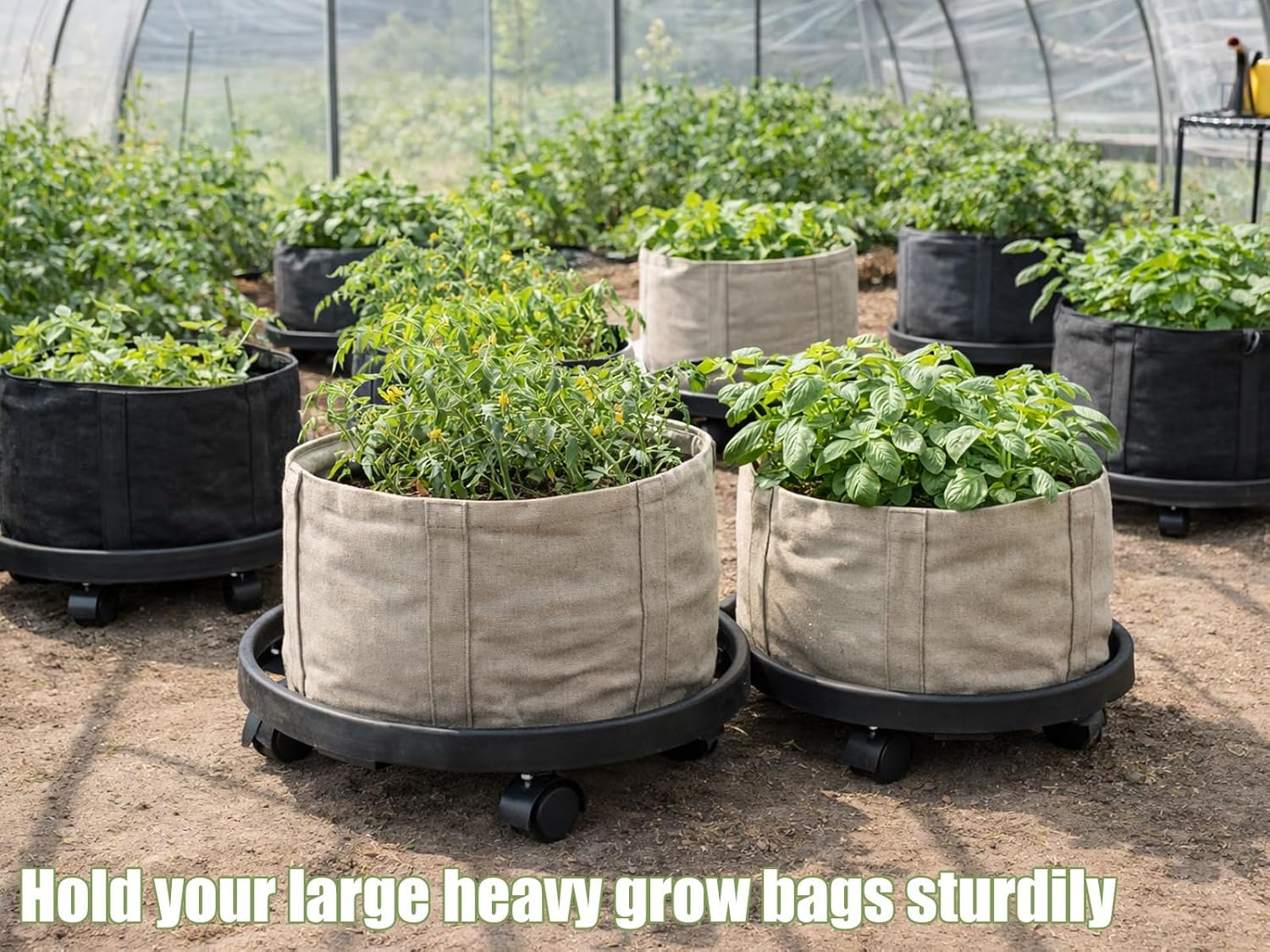 4-pack 16" Extra-large Plant Caddy with Wheels Plastic Plant Dolly with Locking Caster Flower Pot Mover Rollers Wheeled Rolling Plant Stands Round Plant Saucer Indoor Outdoor Base Coasters Black