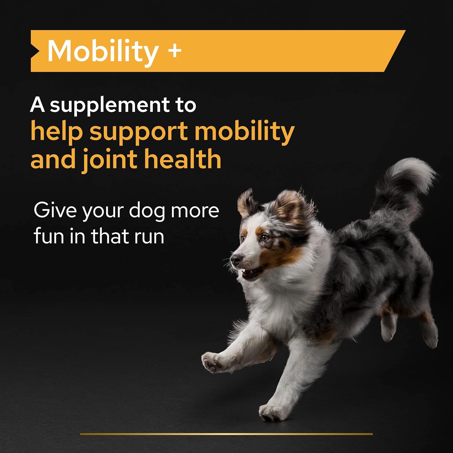 PRO PLAN Dog Mobility Supplement Hip and Joint support with Green Lipped Mussel, Collagen
