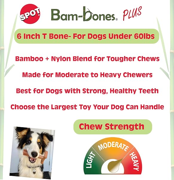 Close-up of the Spot Bambone Plus Chew Toy, highlighting its textured grip and chicken-infused surface.