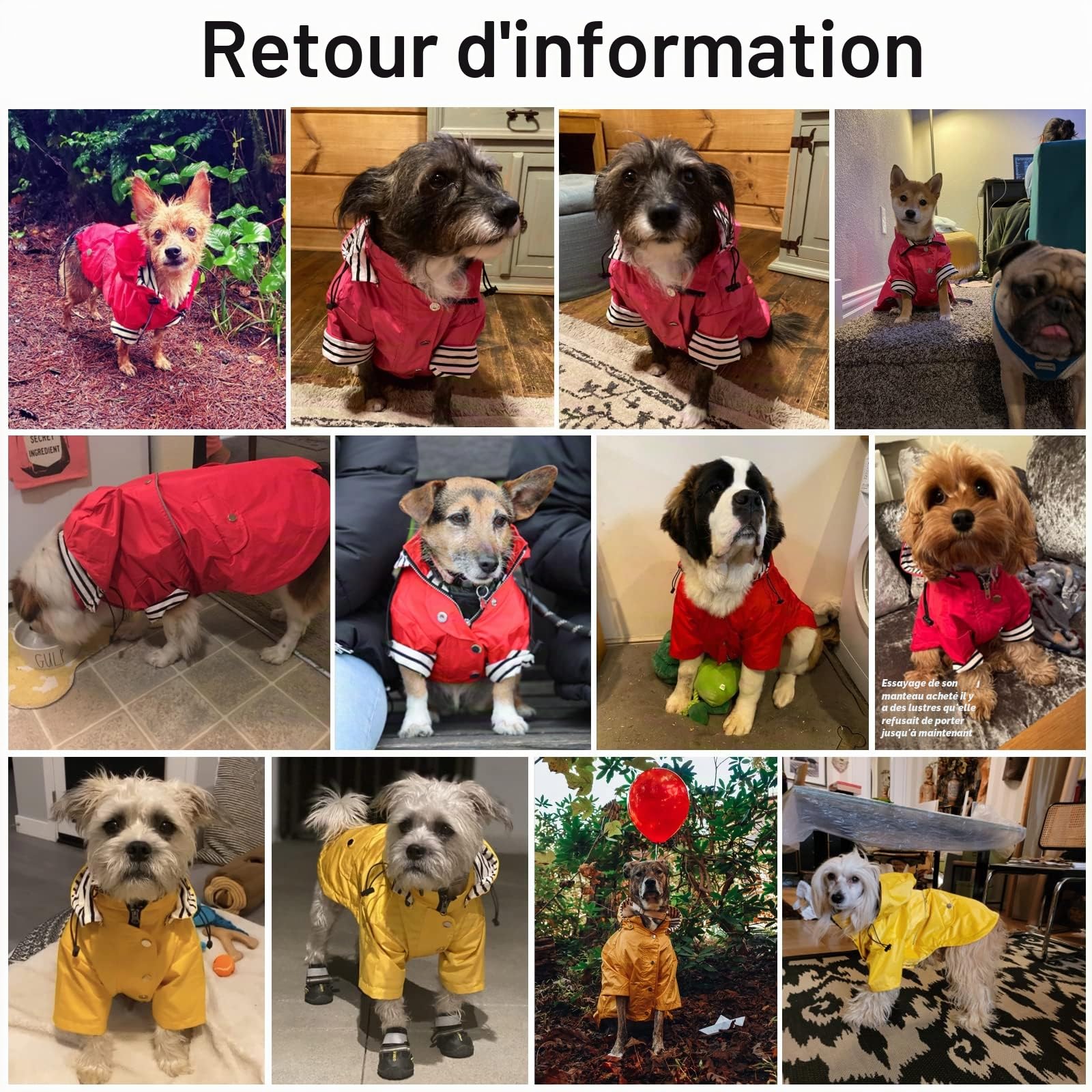 Pethiy- Manteaux imperméables pour Chien élégants de qualité supérieure, résistant Pluie/l'eau,Cordon de Serrage réglable,Capuche Amovible,Vêtements pour Petite et Moyenne Chien-Jaune-S