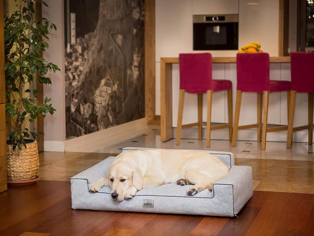 Foto 2 de 7 de Bjird Cama Perro - Cuna para Perros para Dormir, con Funda de Cordura Extraíble (Lavable a 30°)