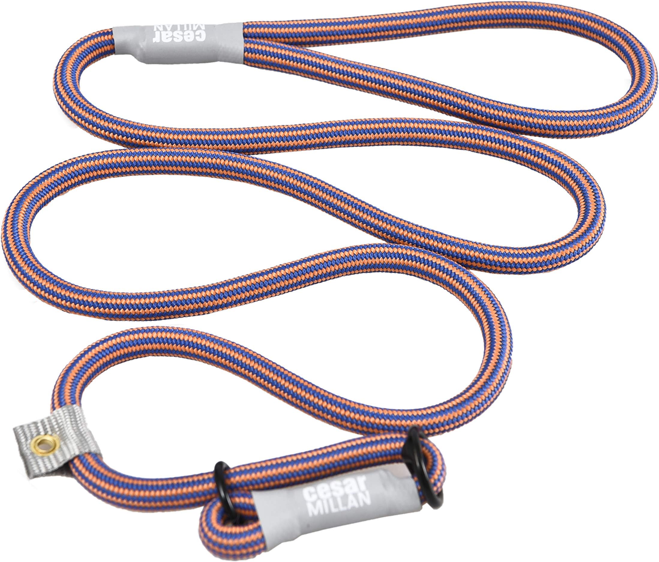 Cesar Millan Slip Lead Leash | Dog Leash | in Training Leash | (Regular, Blue/Orange)