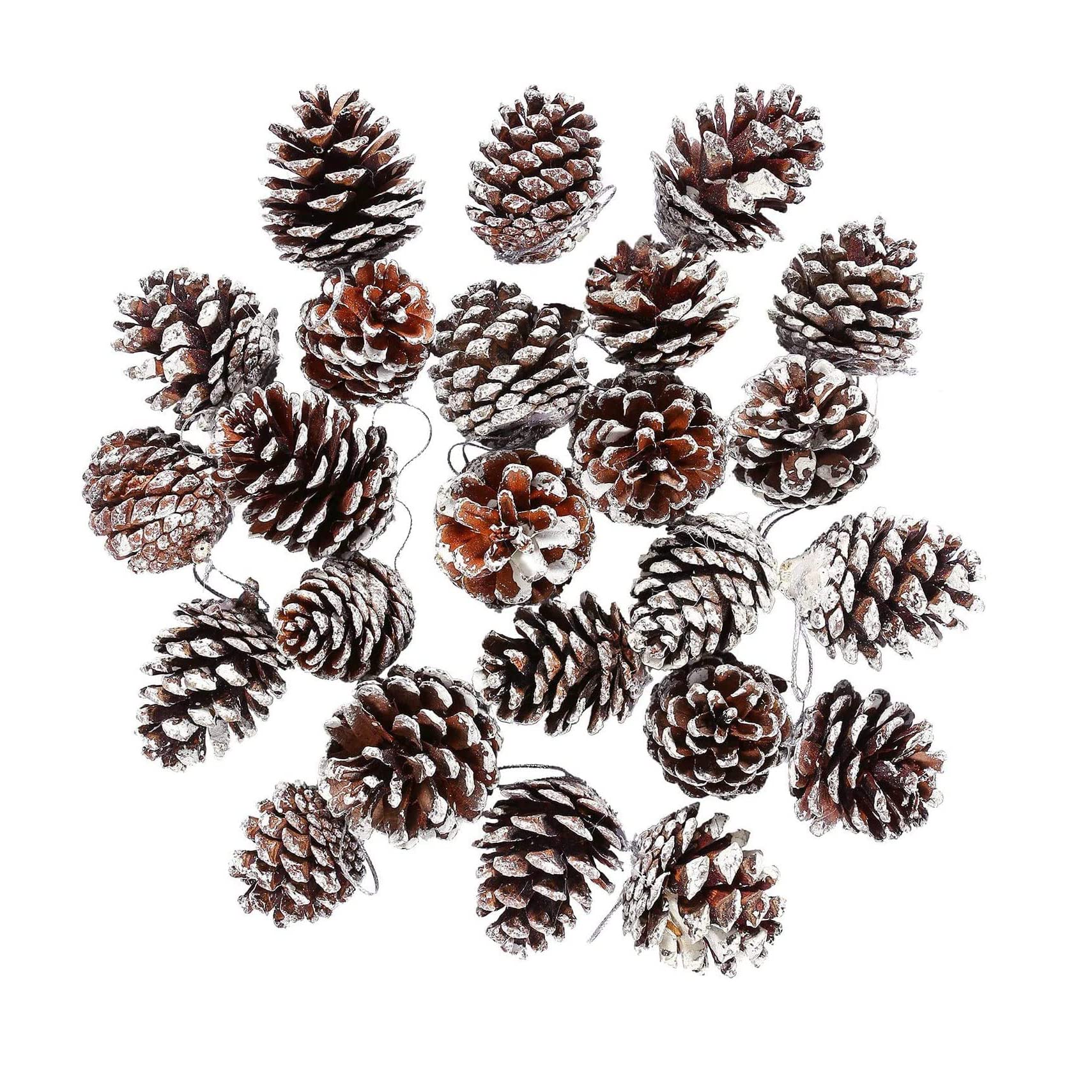 Ky-Tech 3-4Cm Christmas Natural Pine Cones, 25Pcs Snow Pine Cones Christmas Pine Cones Decoration Natural Pinecones With String Pendant Crafts For Gift Tag Christmas Tree Hanging Decoration(3-4Cm)