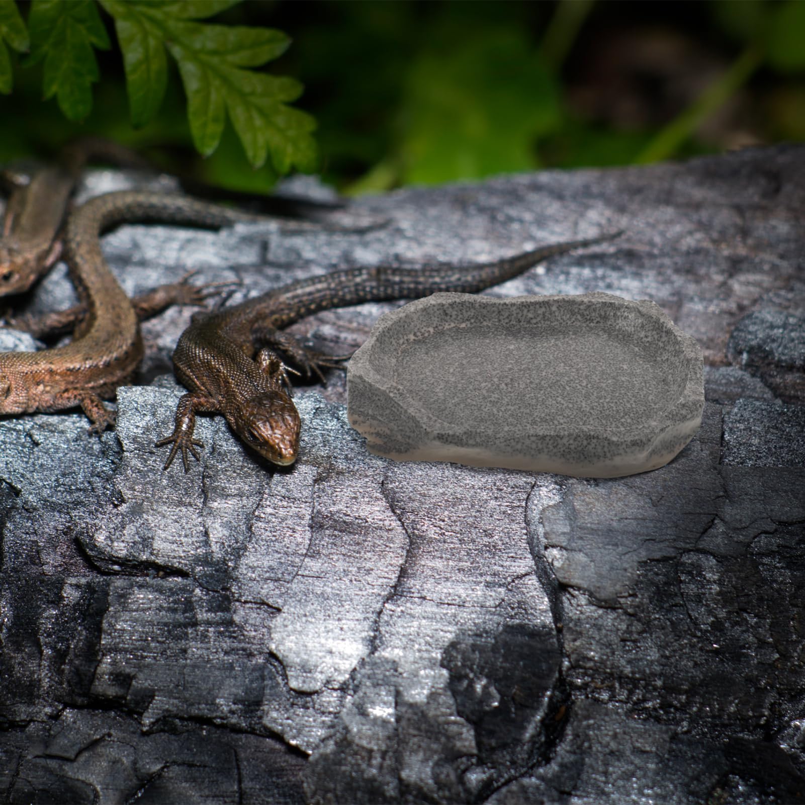 VANZACK 4piezas Tazón De Resina para Reptiles Comedero y Bebedero Diseño De Roca para Terrarios y Acuarios Fácil De Limpiar Resistente Derrames para Alimentos y Agua De Mascotas