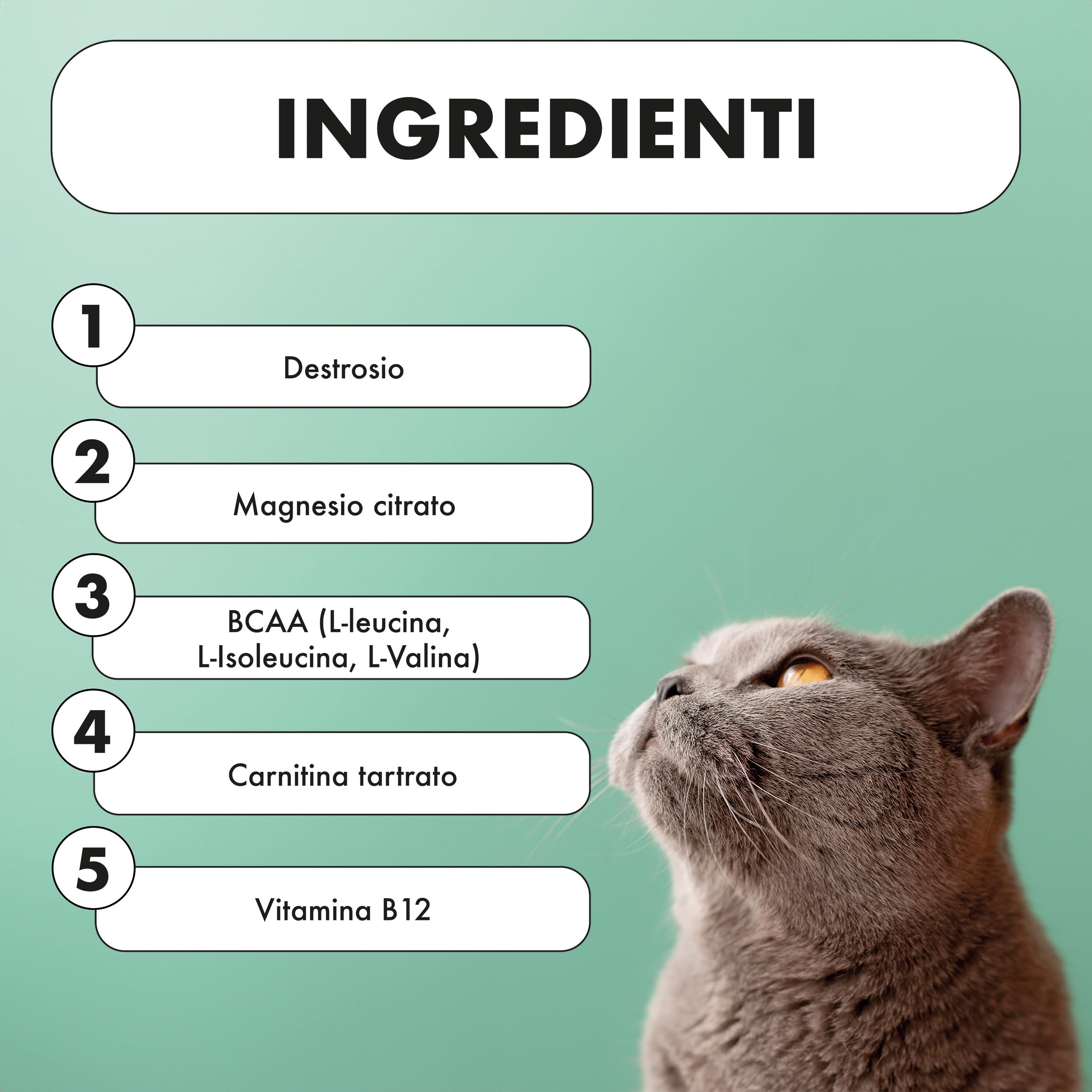 Pharmacinquepet – VIGORBEN Integratore Per Cani E Gatti, Mantiene La Massa Muscolare, Migliora La Forza E La Resistenza, Previene Gli Infortuni. Alta Appetibilità. 60 Compresse.