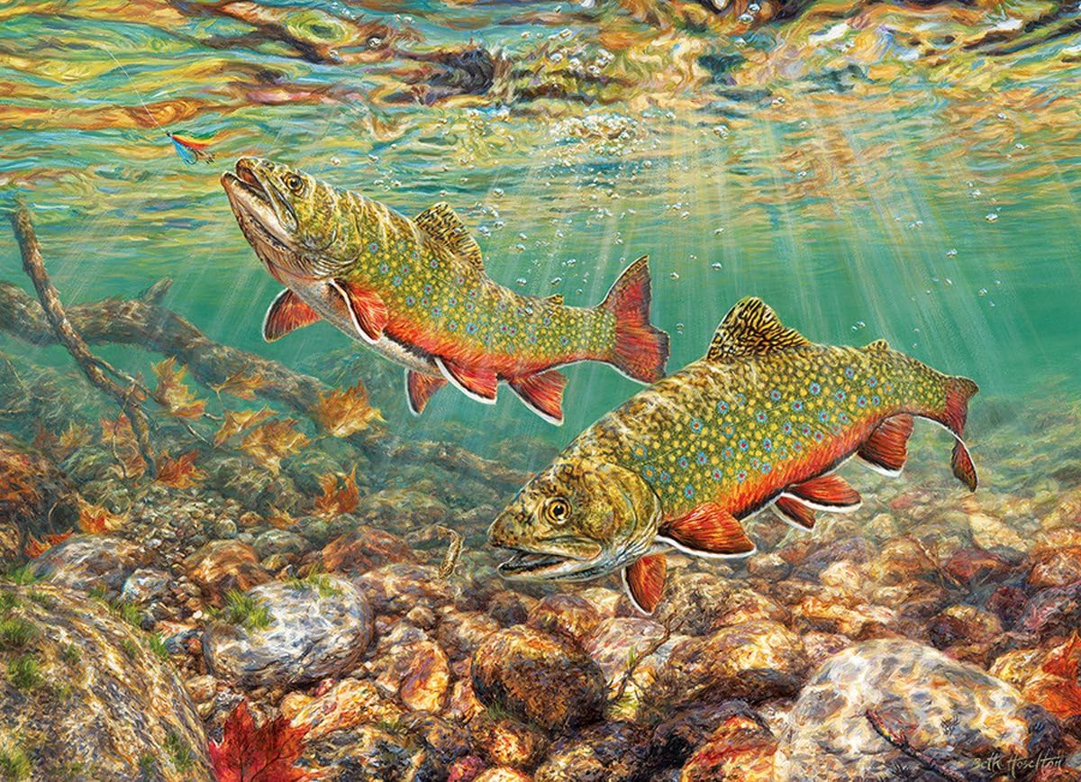 Cobble Hill 1000 Piece Puzzle - Brook Trout - Sample Poster Included