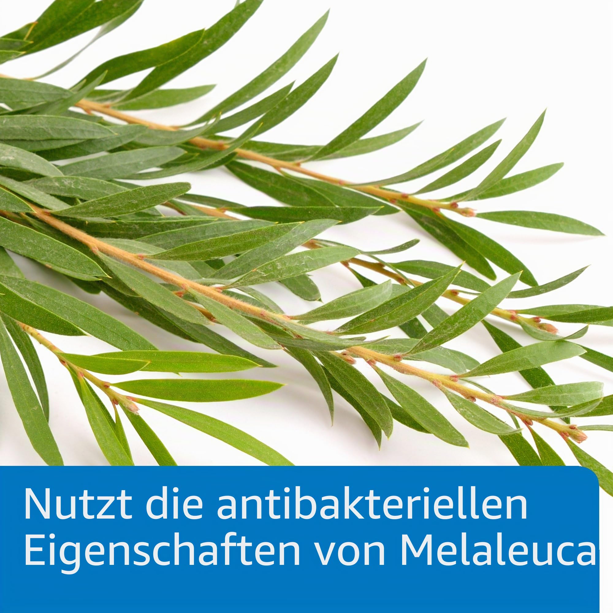 API Pond Melafix Teichfischmittel, 473 ml Flasche