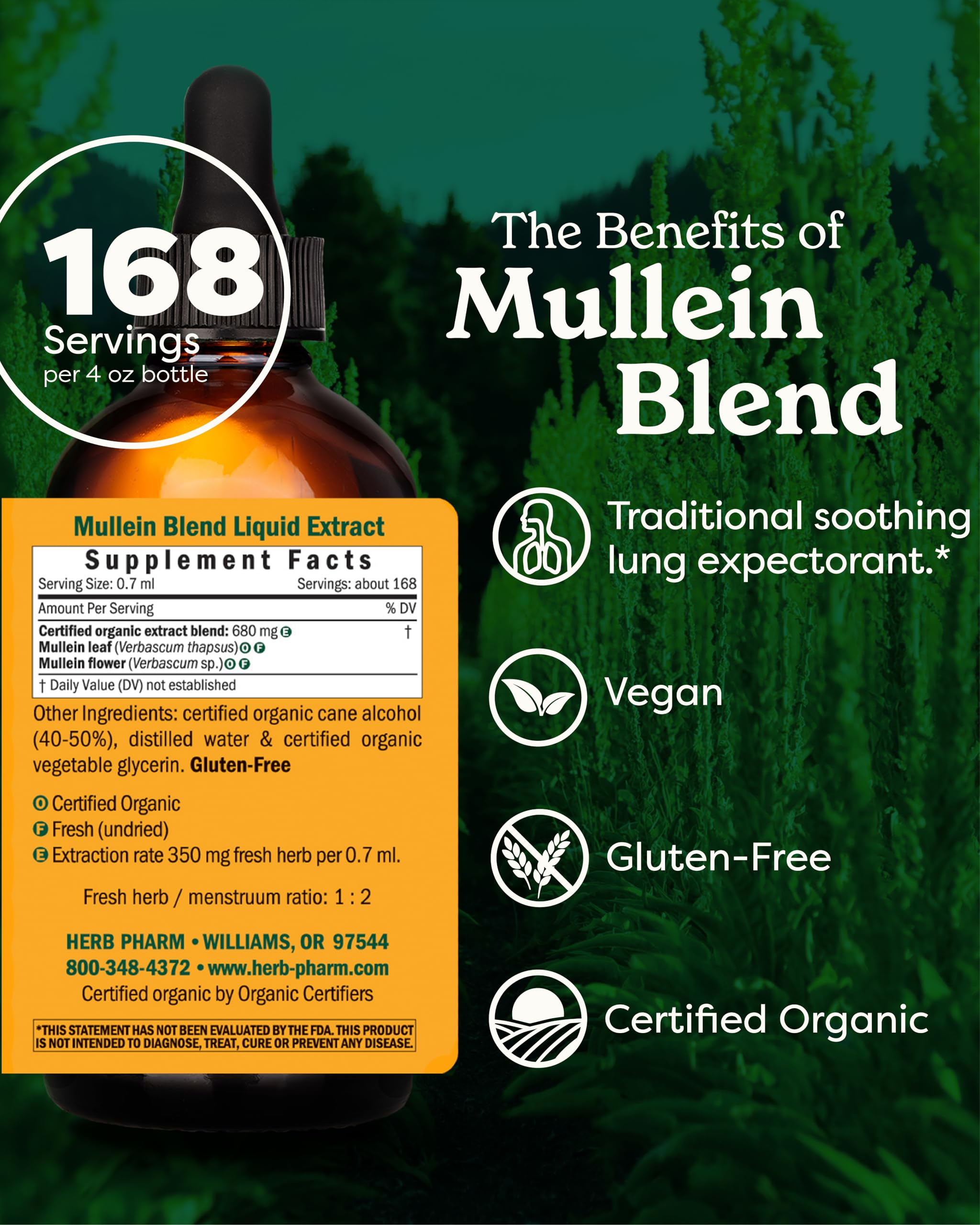 Herb Pharm Mullein Blend: Traditional Respiratory Lung Health & Respiratory Expectorant, Certified Organic, Fast-Absorbing, Vegan, Mullein Flower and Mullein Leaf Extract, Up to 12 Week Supply, 4 oz* — Amazon image 2