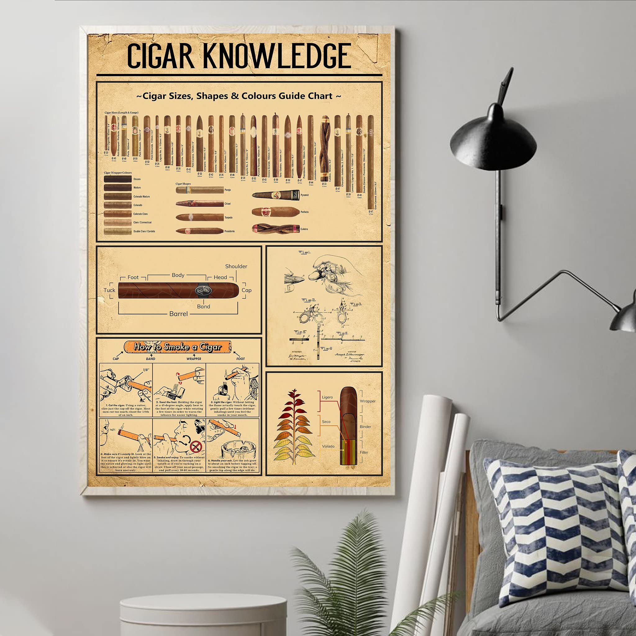 Buy Cigar Knowledge Poster Cigar Size Shape Colours Size Chart Poster