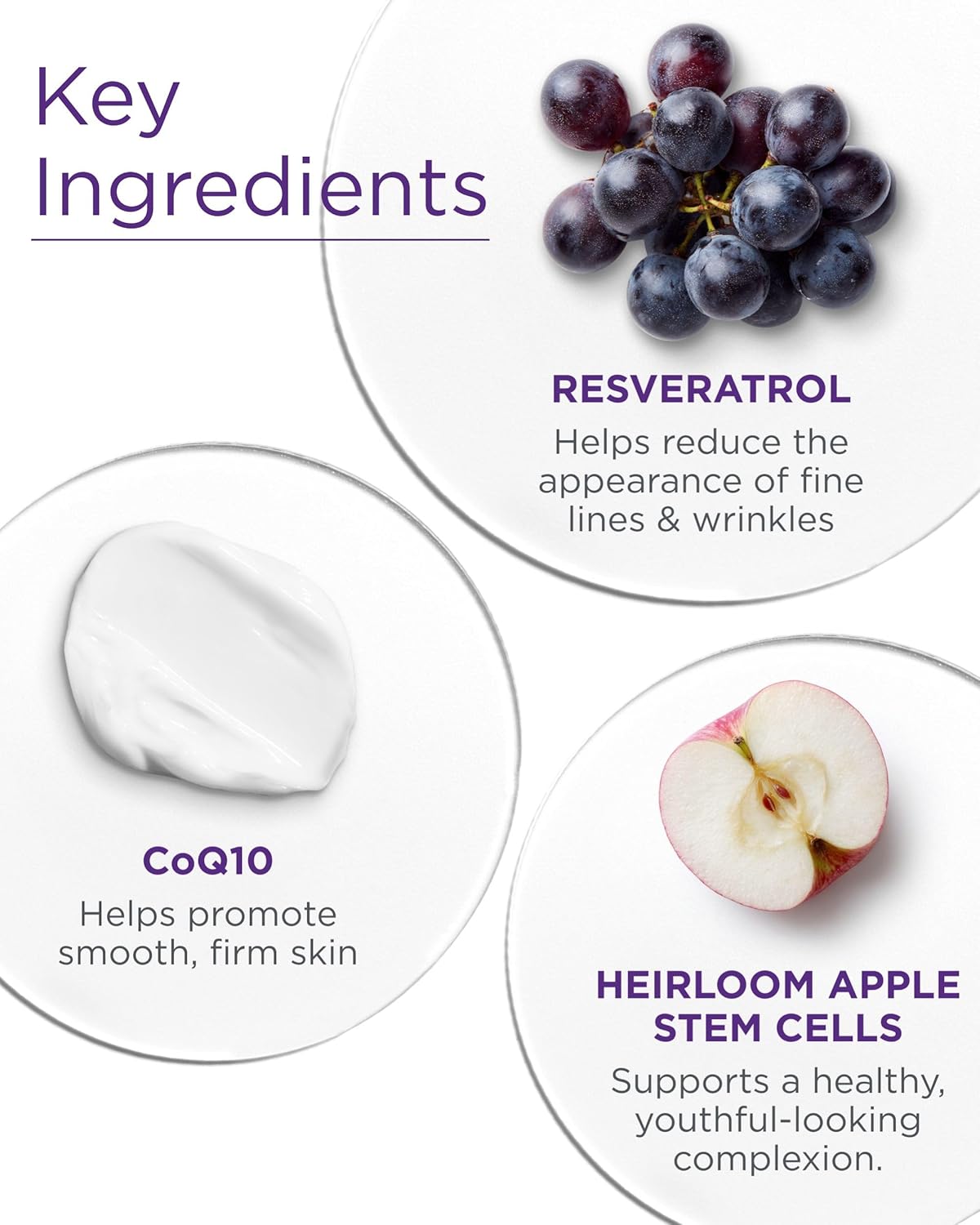 Andalou Naturals Age Defying Resveratrol Q10 Night Repair Cream - Anti-Wrinkle Moisturizer to Hydrate & Smooth - CoQ10 & Resveratrol for Dry Skin - 1.7 oz - Image 5