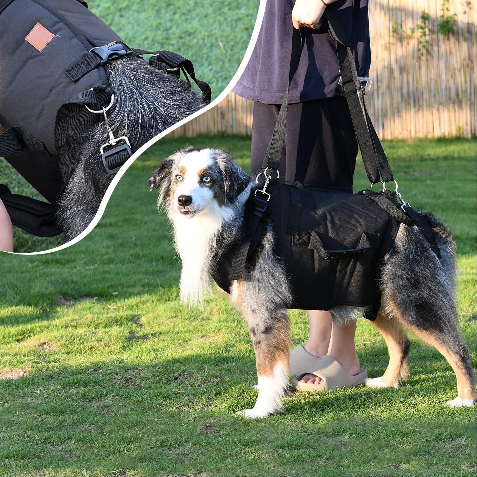 Pettorina per cani con manico, pettorina regolabile con maniglia