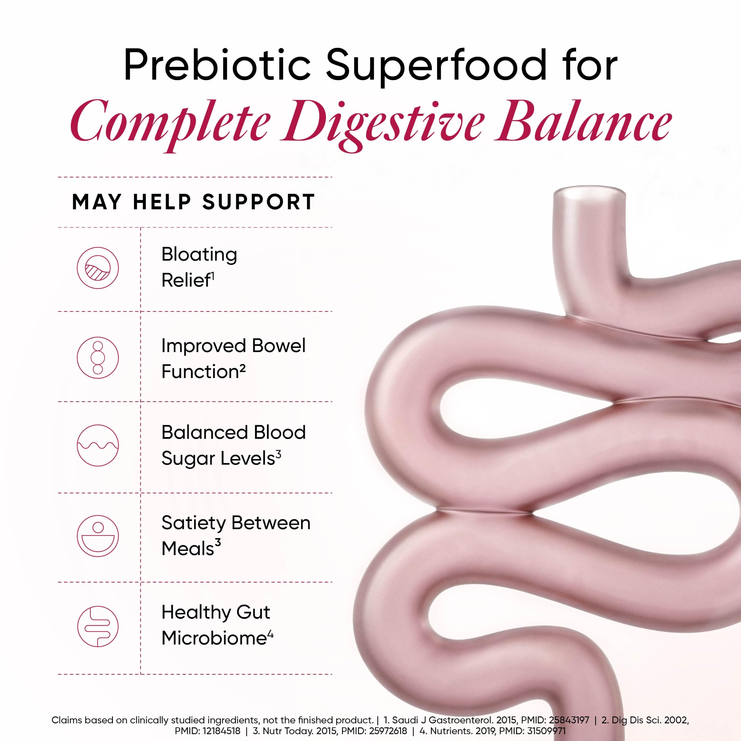 WELLBEING NUTRITION Daily Fiber Powder|Weight Management, Manages Sugar Control, Bloating, Constipation & Acidity Relief|Organic Prebiotic Digestive Fiber Supplement|Vanilla Berry|30 Servings, 1 count 2