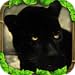 Panther Simulator