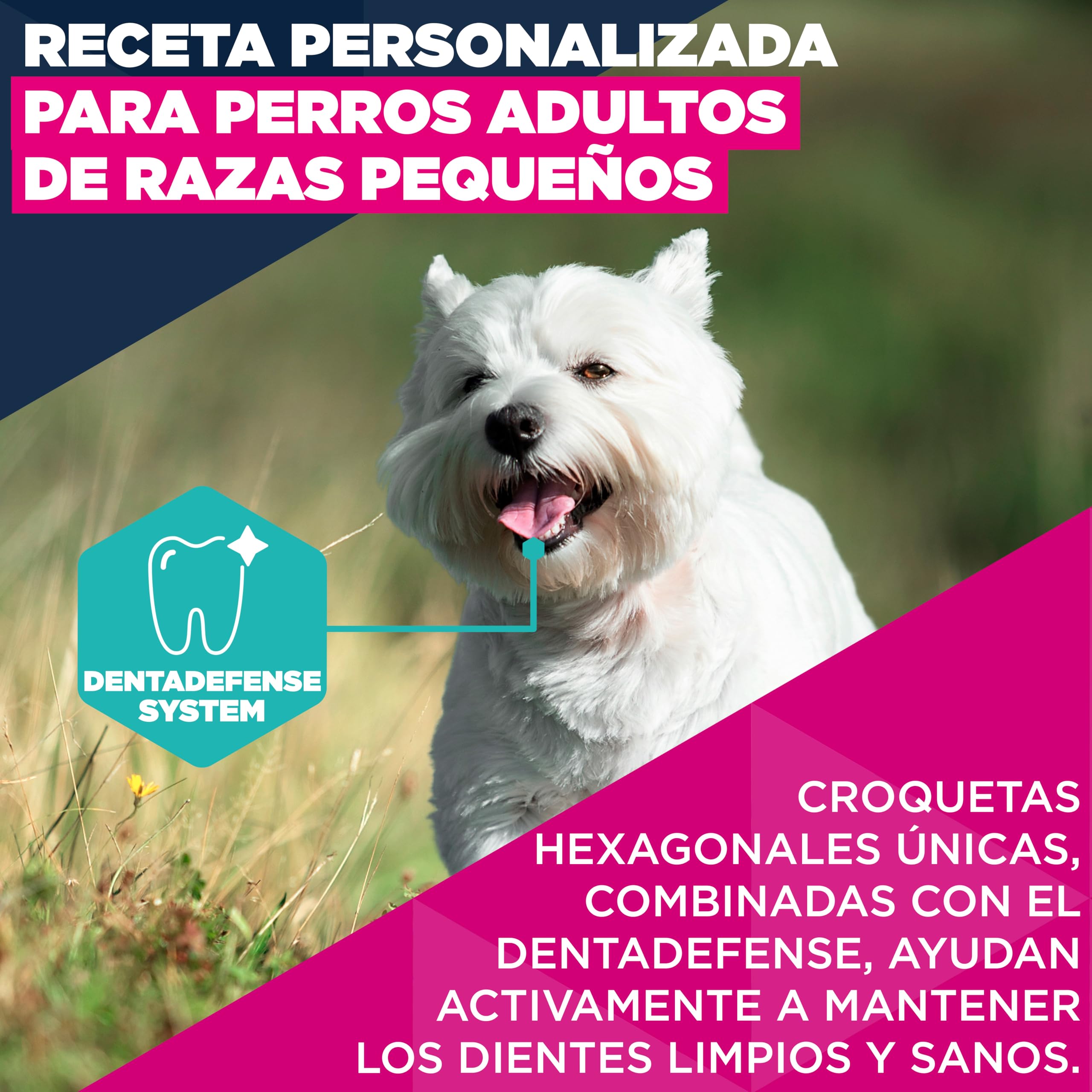 Eukanuba, alimento seco para Perros con Pollo Fresco para Razas pequeñas - Alimento seco Premium para Perros Adultos, 15 kg