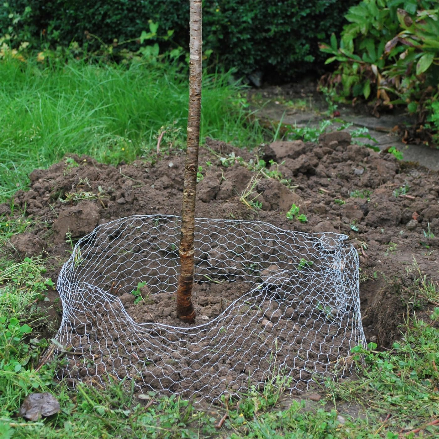 VOSS.garden 10x Wühlmauskorb Ø 60cm Höhe 70cm verzinkt, Schutzkorb gegen Wurzelverbiss