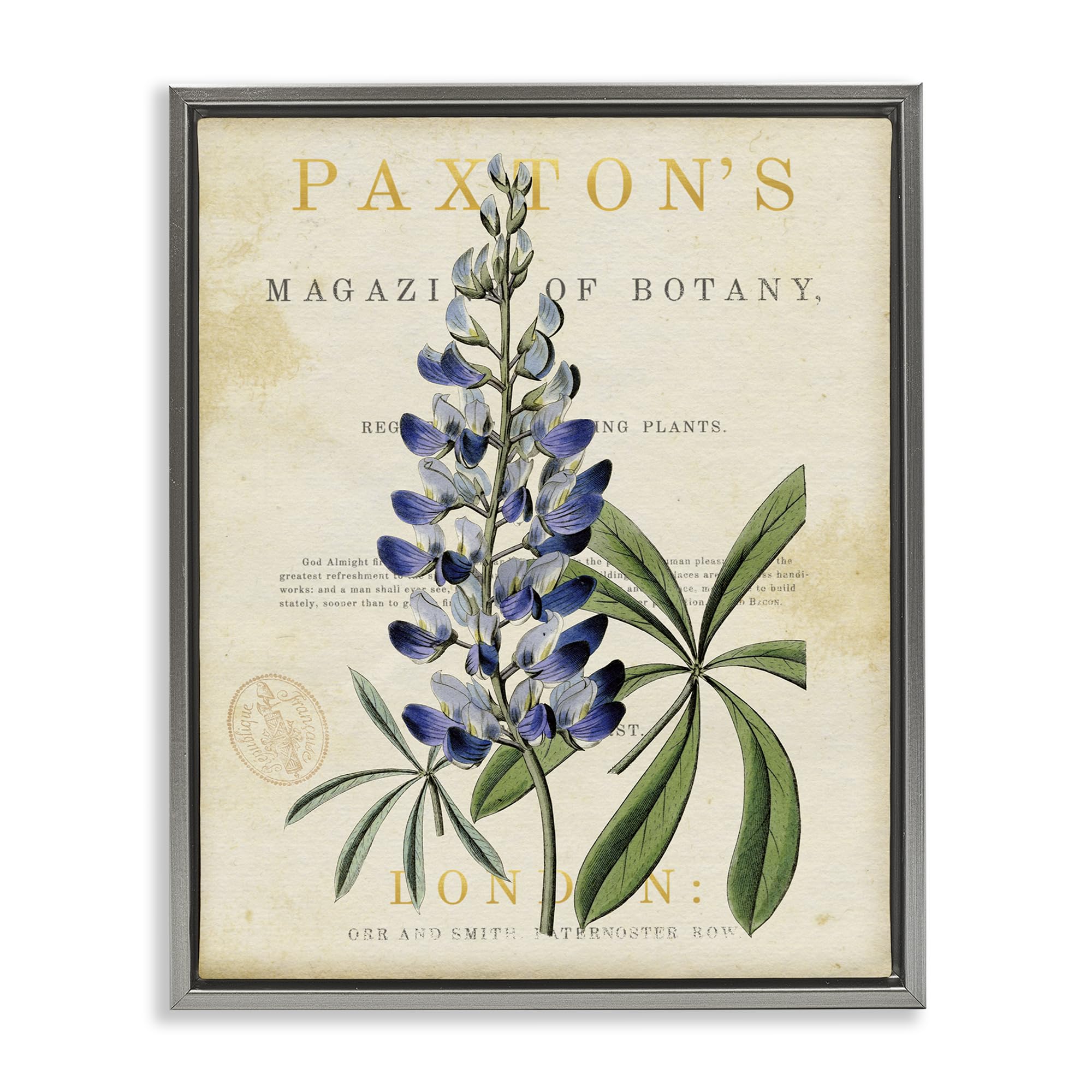 'Natural Botany Lupine'| Floating Frame Canvas Art