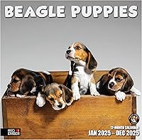 Vista 21 de RED EMBER Calendario de pared 2025 con diseño de cachorros de 12 meses, 12 x 24 pulgadas, abierto, papel grueso y resistente, para regalo