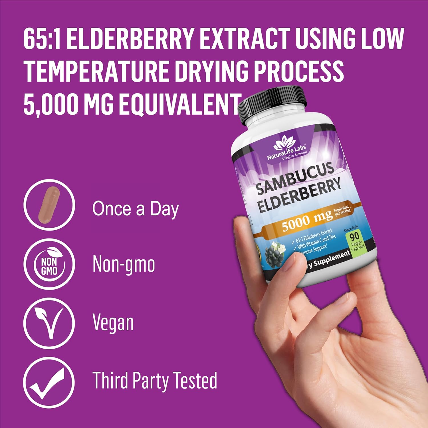 NaturaLife Labs Sambucus Elderberry 5,000 mg Equivalent (65:1 Extract) with Vitamin C & Zinc - 90 Capsules - Vegan, Gluten Free, Non-GMO - Image 4