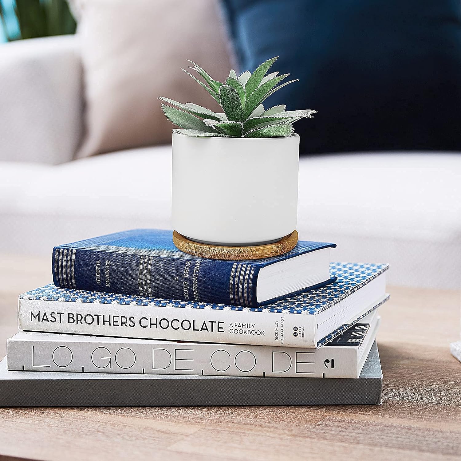 Hopewood Cute Indoor Decor Plants, Artificial Succulent Plants in Ceramic Pots with Bamboo Tray, Faux Potted Plants