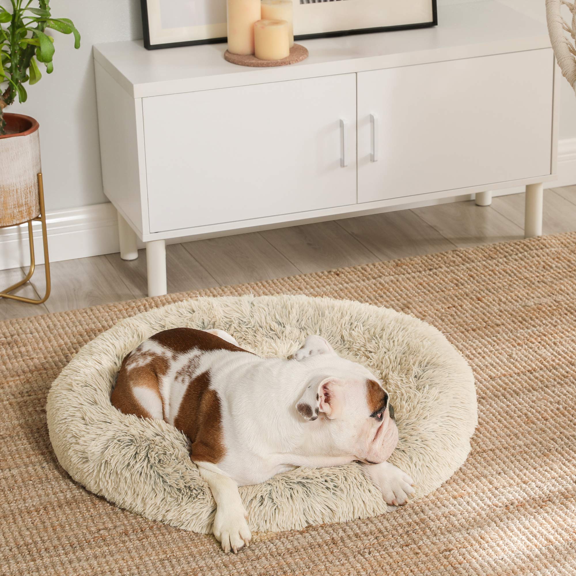 Feandrea Cuccia per Cane, in Peluche Morbida, 80 cm, Cachi PGW040S01
