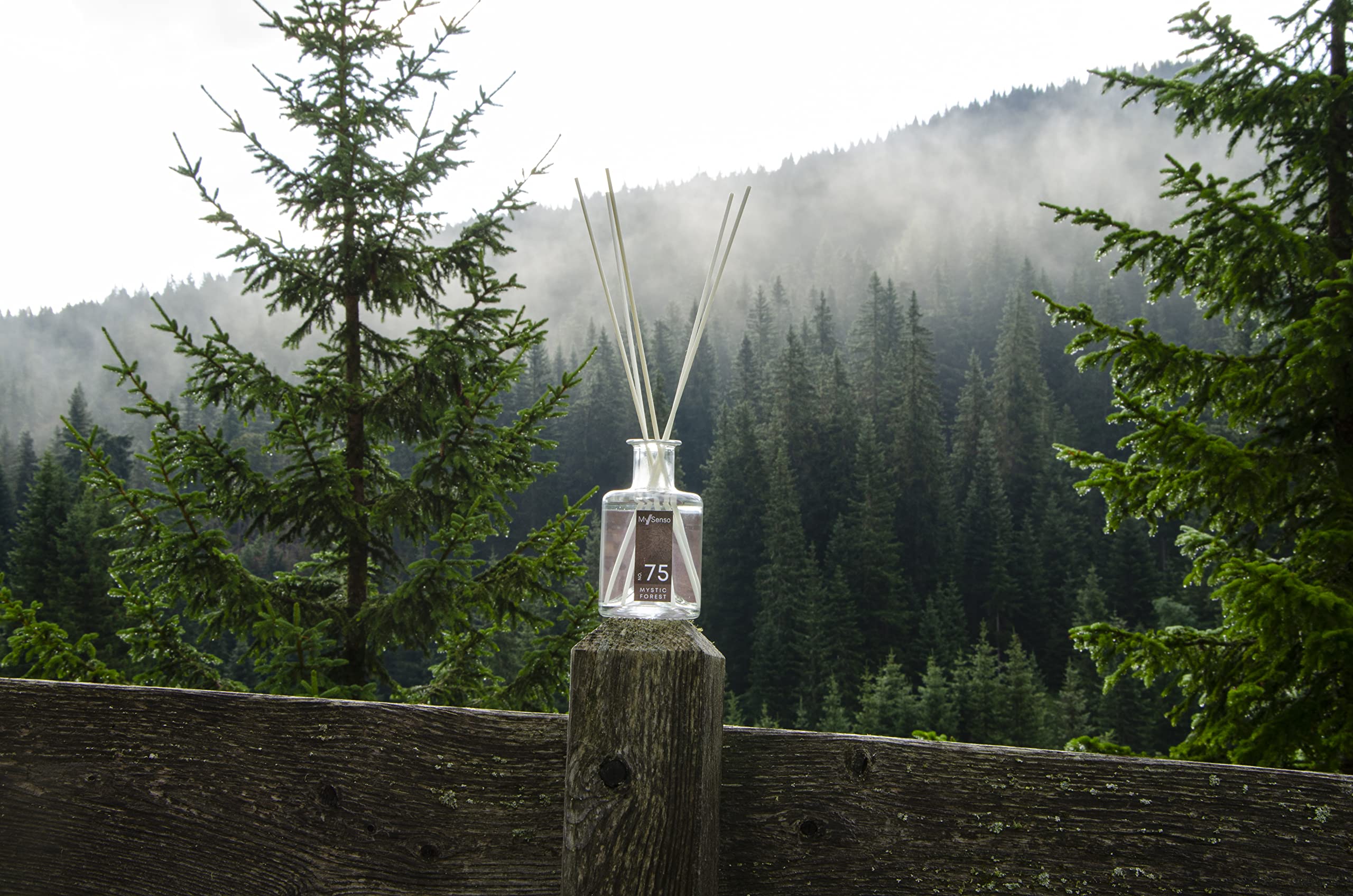 MySenso Alpine - N°75 Mystic Forest - Diffusore a Bastoncini con cembro bio - fragranza Alpina per casa e Ambiente - Profumo Fresco, legnoso – Confezione Regalo Elegante e sostenibile