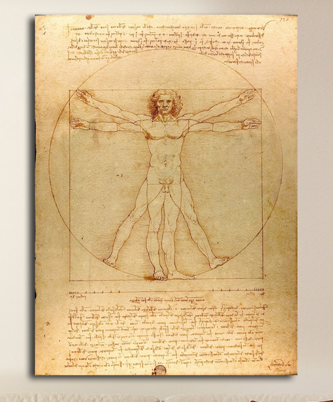 Quadro L'Uomo Vitruviano Leonardo Da Vinci stampa su tela canvas con o senza telaio - scegli la dimensione che preferisci da - cm 50 a cm 130 di larghezza (CM 80X110, QUADRO CON TELAIO IN LEGNO)