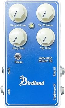 Amazon | バードランド ギターズ Birdland/Acoustic Mixer R2/119-05