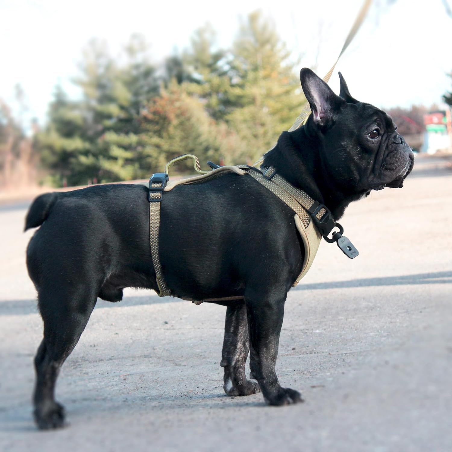 Magnetic Quick Clip: Control Harness - Sand, Small