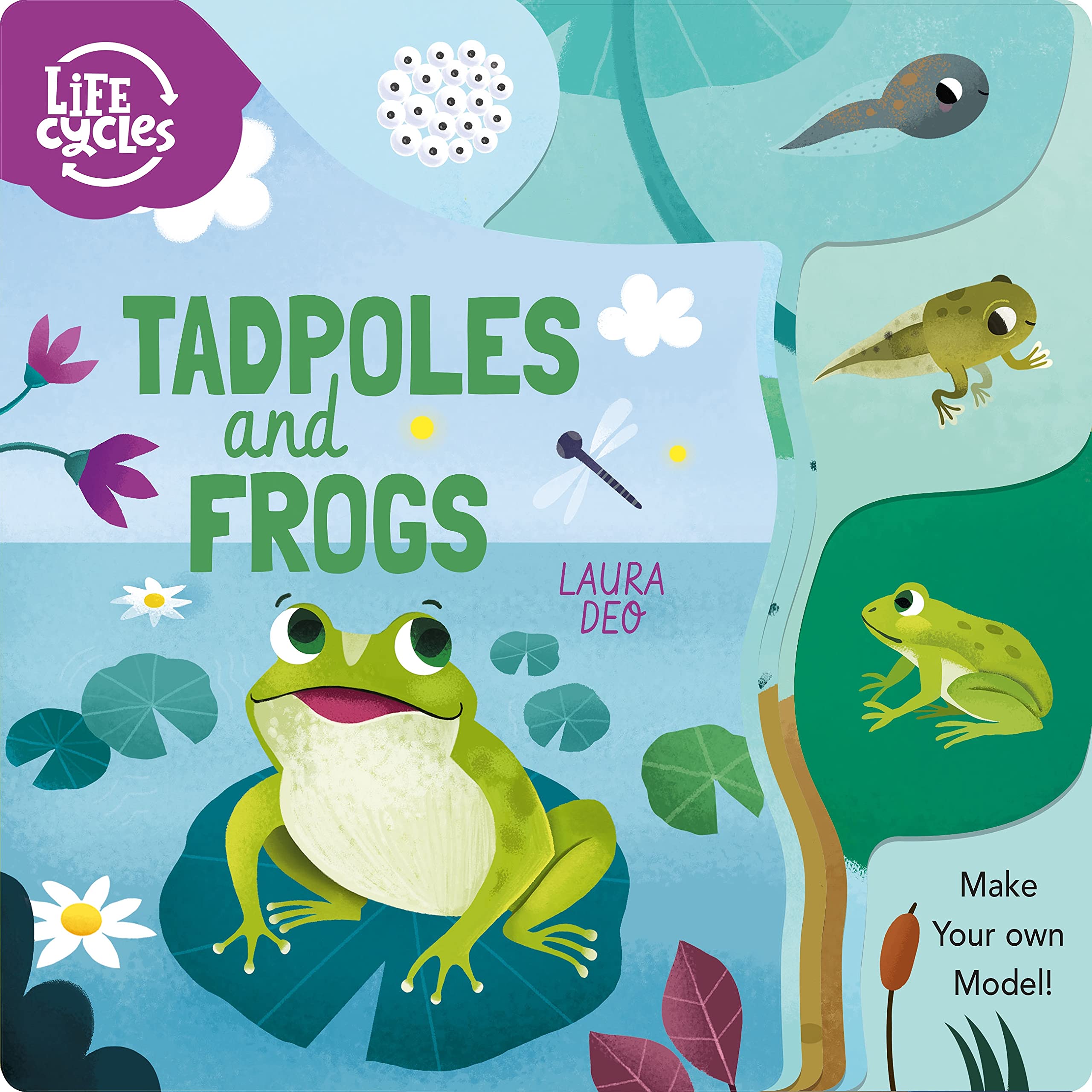 Tadpoles and Frogs: Make Your Own Model! (Life Cycles)