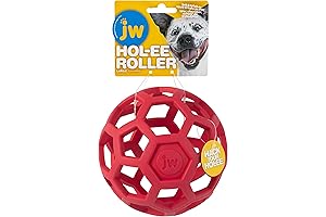 JW Pet Hol-ee Roller Dog Toy Puzzle Ball